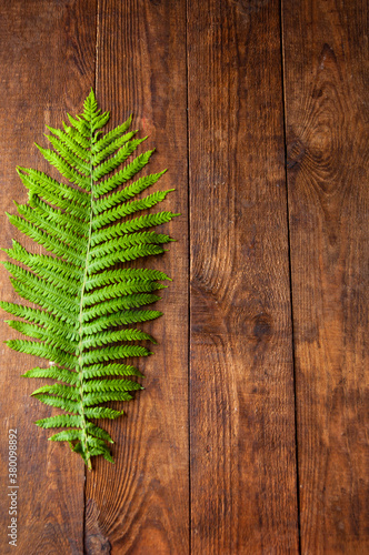 green fern leaf lies on brown wooden background