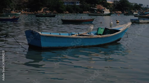 fishing boats in the harbor with white birds 