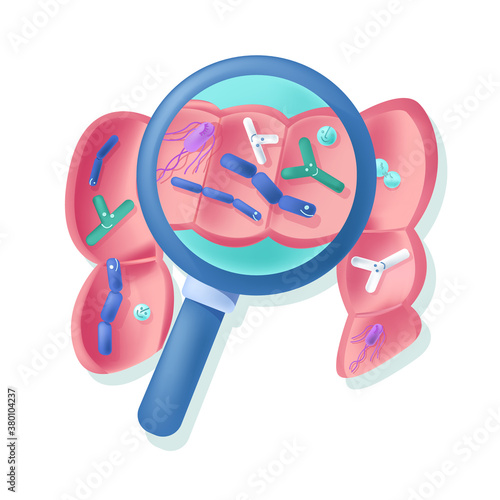 Vector illustration abstract bowel under magnifying glass. It shows bacteria of normal flora. Concept probiotics, healthy nutrition, dysbiosis, normal microflora. Mix of 3D and flat styles.