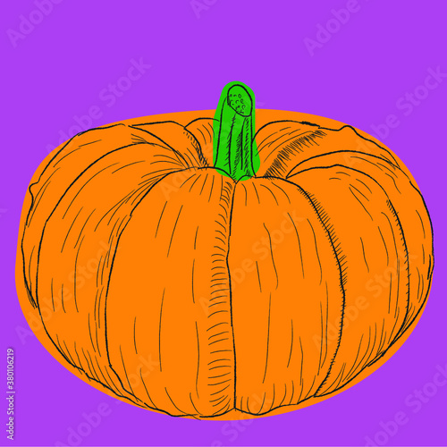 pumpkin isolated on purple background