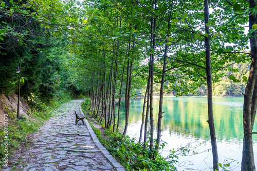 A beautiful promenade with ccobble stone path next to the peaceful lakeshore and forest.
