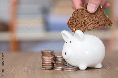 Put the brown bread in the piggy bank photo