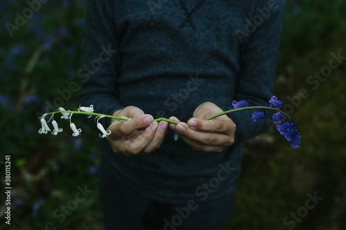 Same but different. Hands holding a white and a blue bluebell.