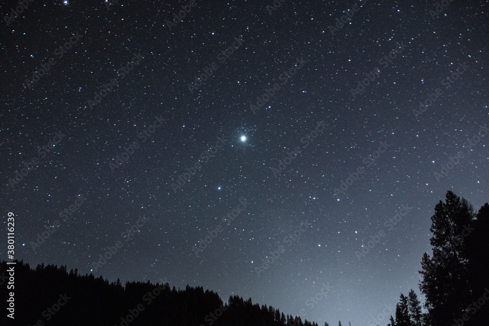 Very bright star in the night sky. Very bright star in the night sky.