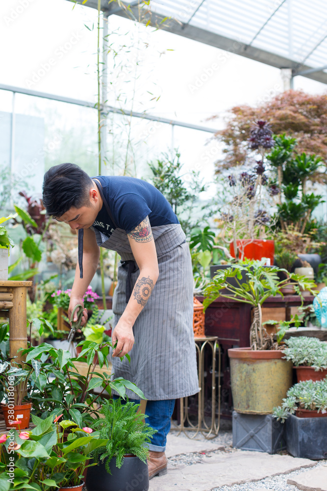 One young asian male florist working in his shop or garden One young asian male florist working in his shop or garden