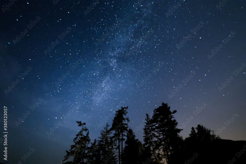 Beautiful milky way starry night sky with silhouetted trees. 4K 24FPS.