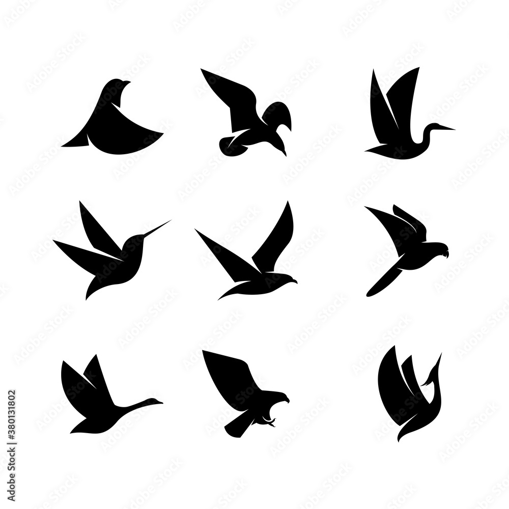 Illustration vector graphic template of bird silhouette logo