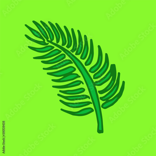 fern leaf isolated on green background. hand drawn vector. modern scribble for kids, sticker, clip art, wallpaper, greeting, presentation. doodle plant. cartoon style. simple sketch, drawn with pen. 