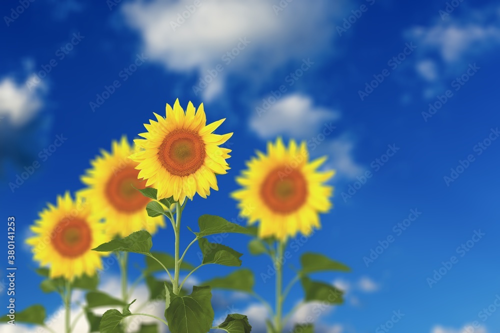 Obraz premium Agriculture.