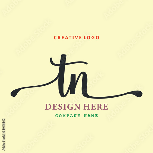 pharmacy logo letter TN is simple, easy to understand and authoritative