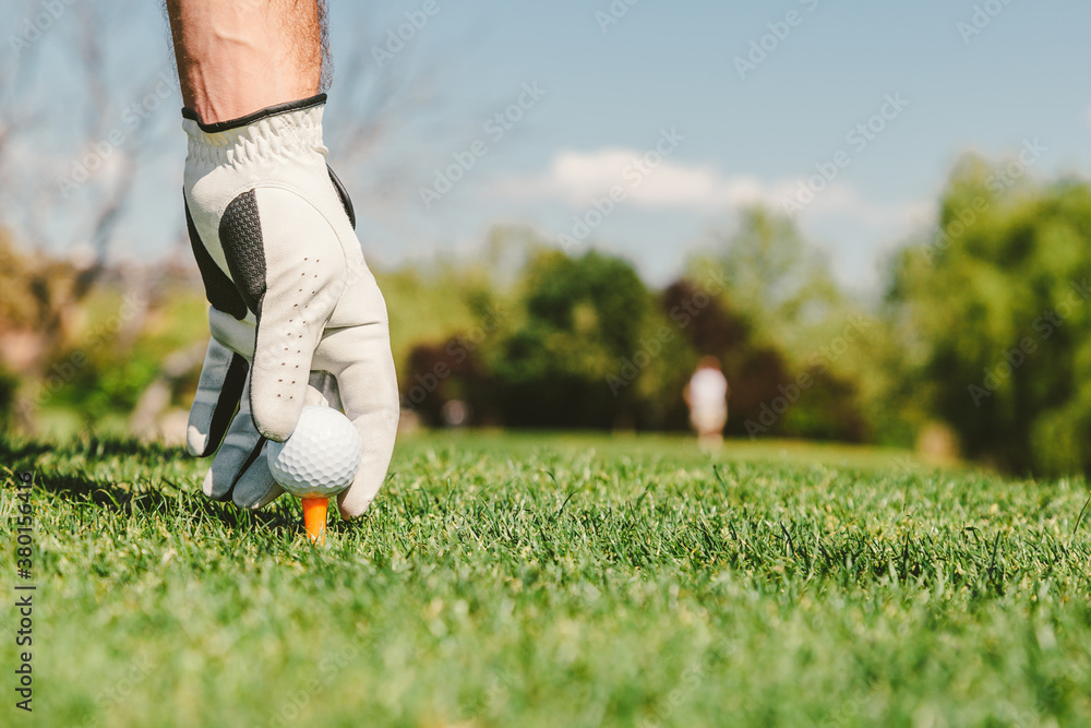 Golfer Puts the Golf Ball on a Tee Golfer Puts the Golf Ball on a Tee