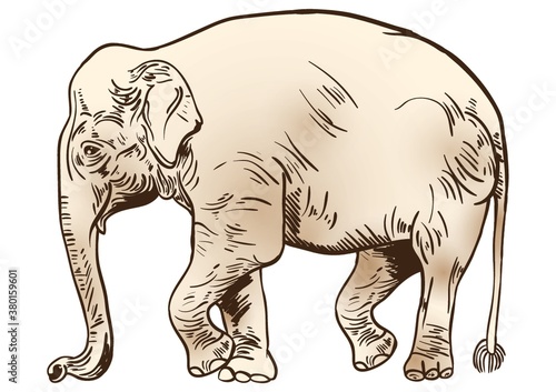Elephant design