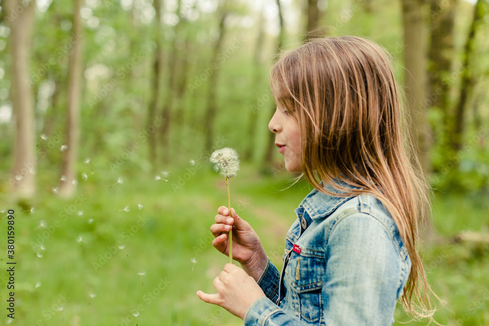 Little girl blowing a dandelion and making a wish Little girl blowing a dandelion and making a wish