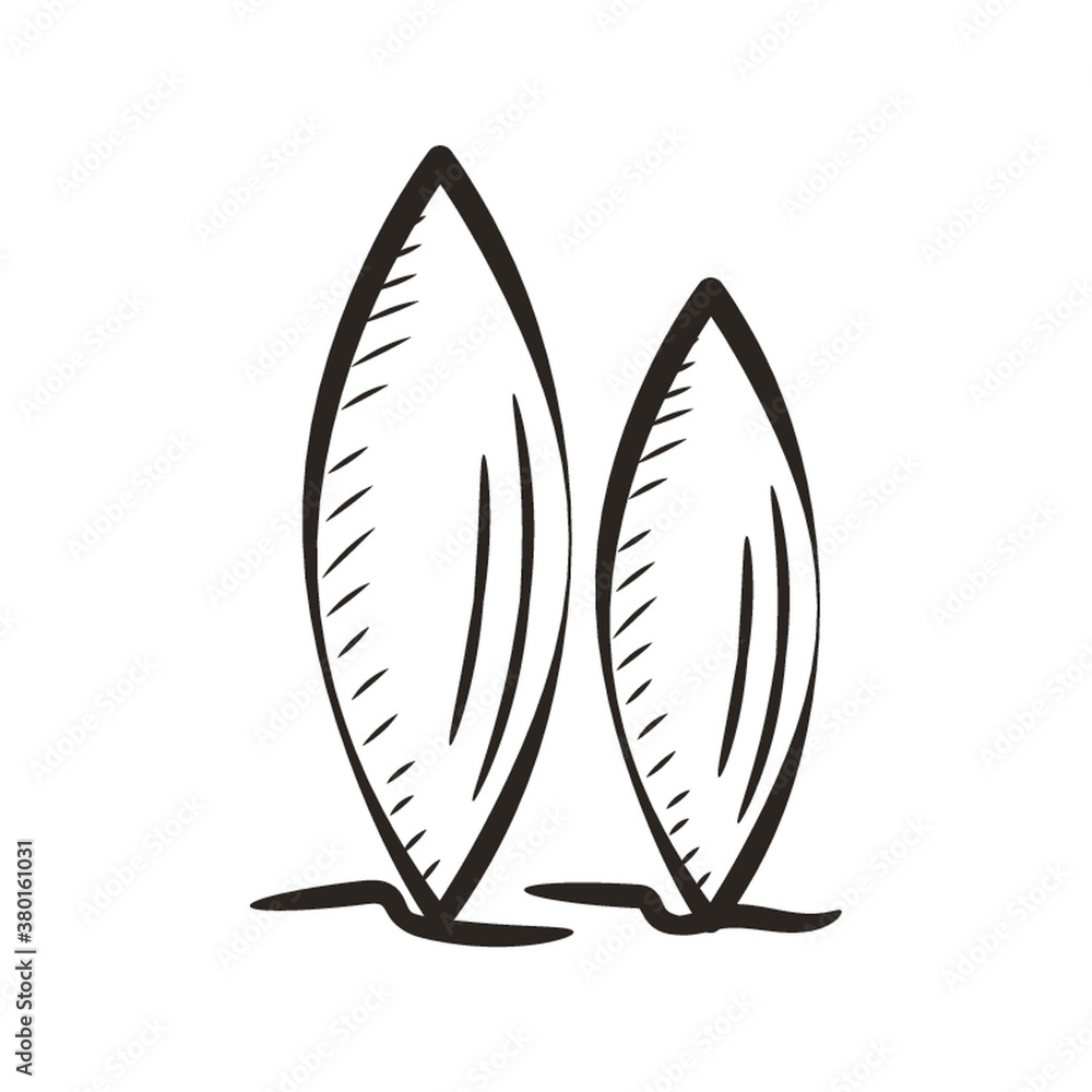 surfboards surfboards