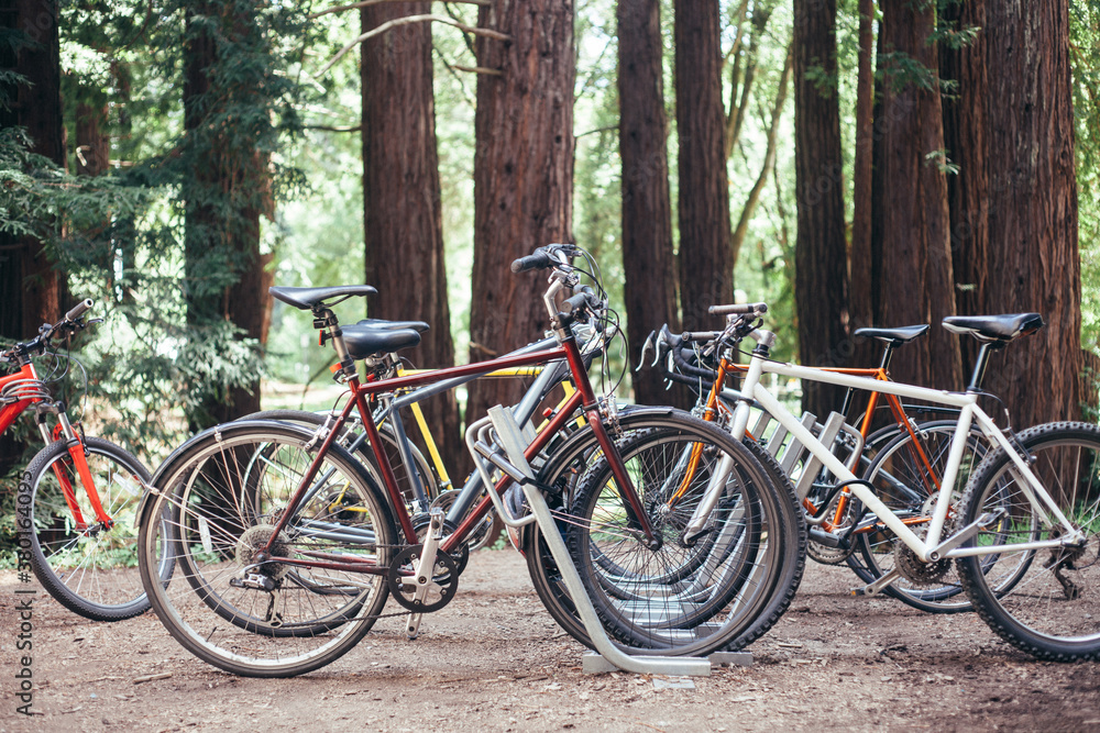 Mountain bikes and street bikes at a bike rack amongst the redwoods Mountain bikes and street bikes at a bike rack amongst the redwoods