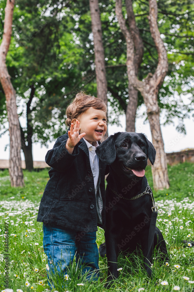 Boy loves the dog Boy loves the dog