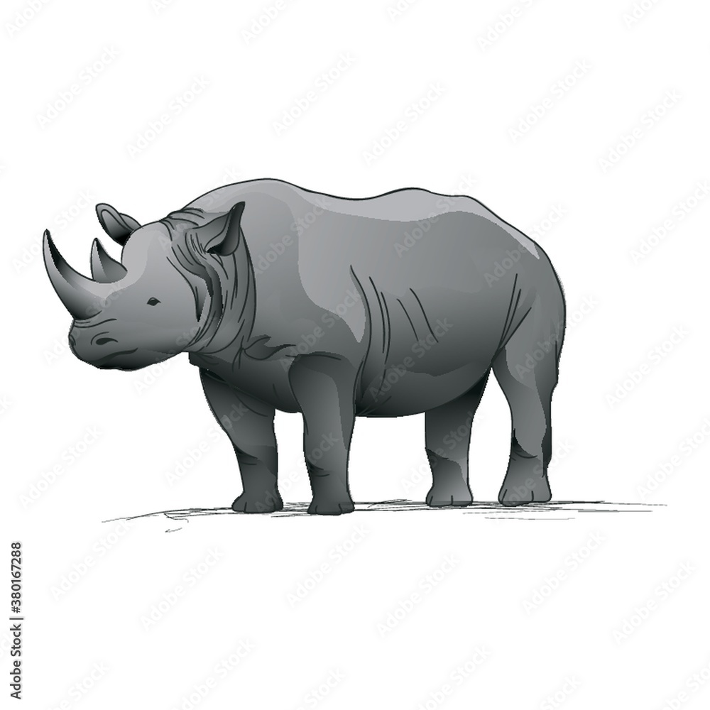 Fototapeta premium Rhinoceros