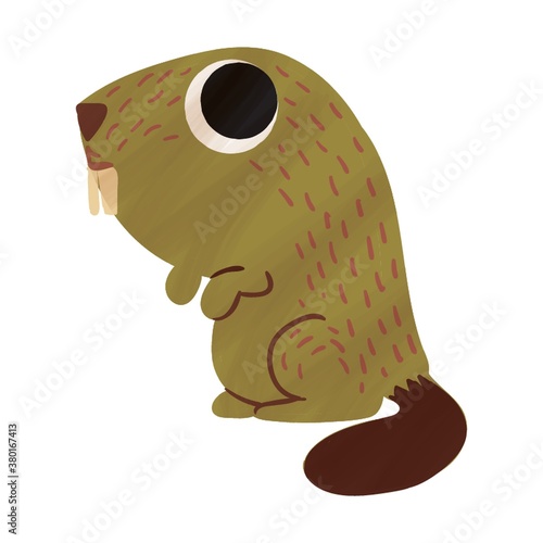 Beaver