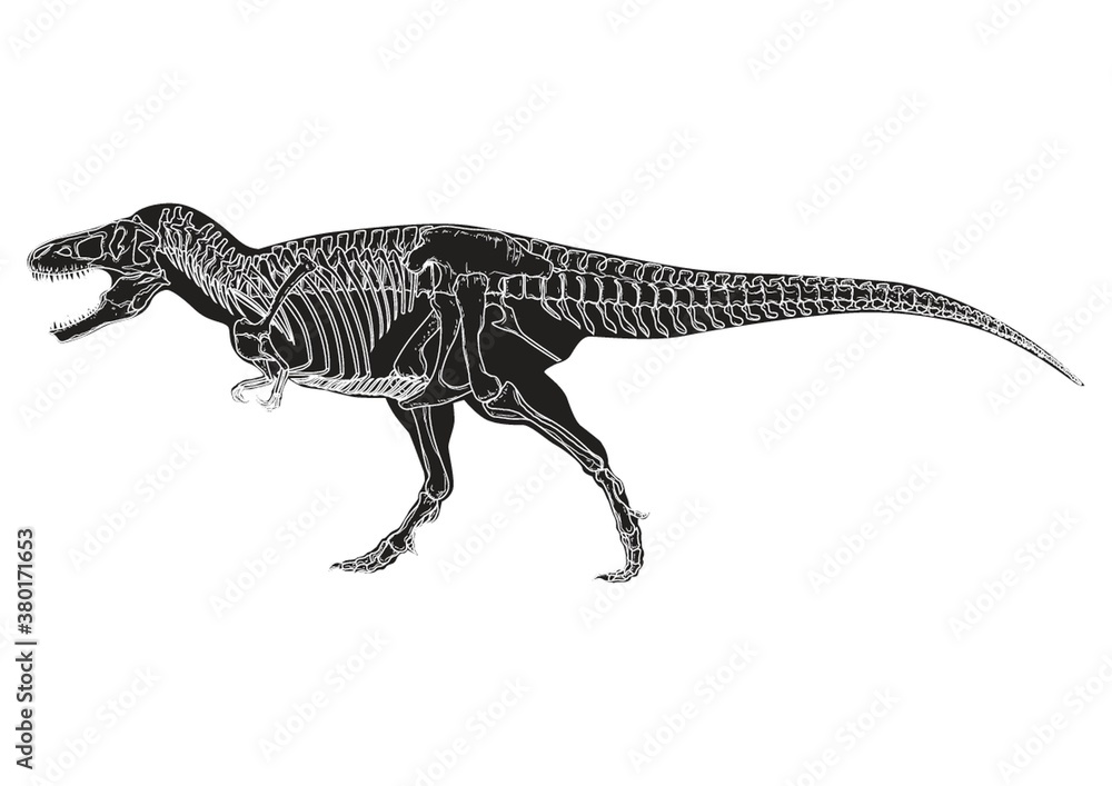 Tyrannosaurus rex Tyrannosaurus rex