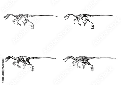 Set of allosaurus icons