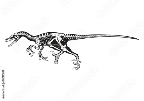Allosaurus