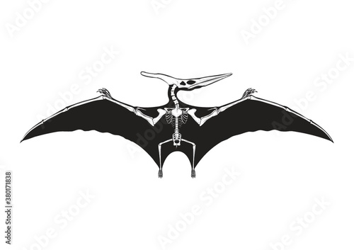 Pteranodon