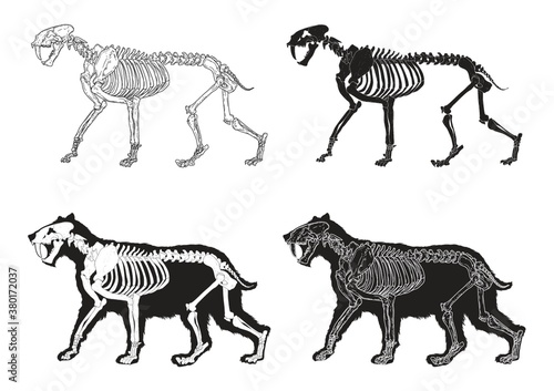 Set of saber-toothed cat icons