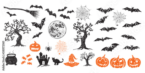 Halloween symbols hand drawn illustrations	

