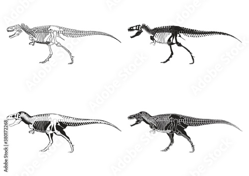Set of tyrannosaurus rex icons