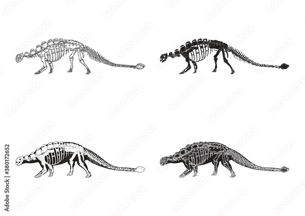 Naklejka premium Set of ankylosaurus icons