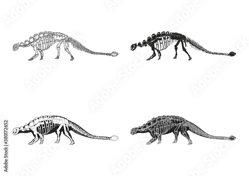 Set of ankylosaurus icons photo