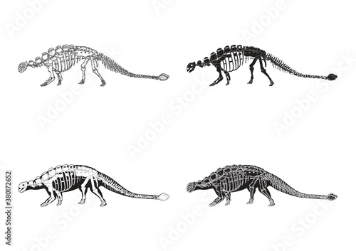 Set of ankylosaurus icons