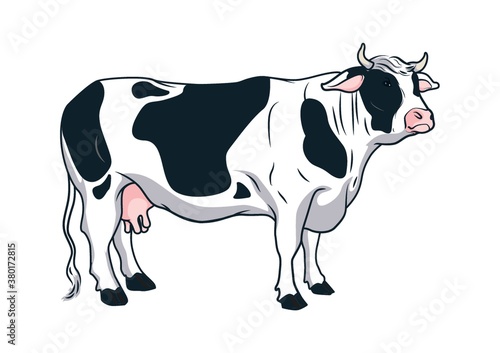 Cow