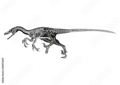 Allosaurus