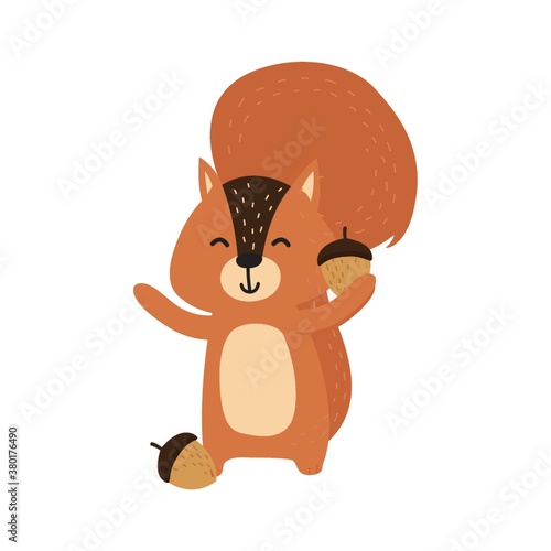 Photography squirrel holding an acorn