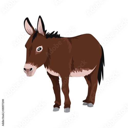 donkey