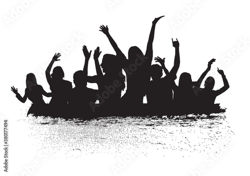 Crowd at a concert