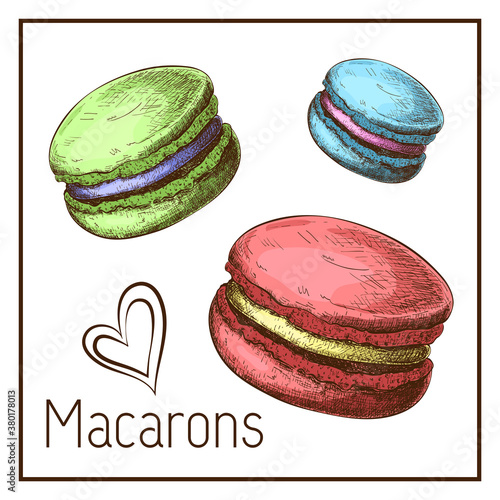 cute color macarons drawing isolated on white. vector Sketch of macaroons in vintage style. engraved pastry illustration. Sweet dessert clipart for label, logo, bakery menu, posters design. doodle set