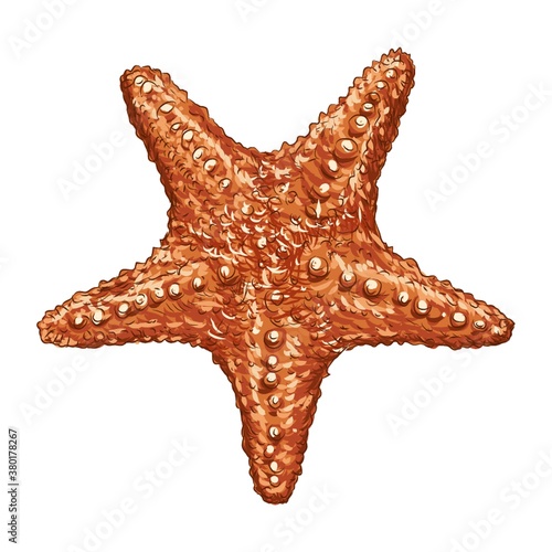 Starfish