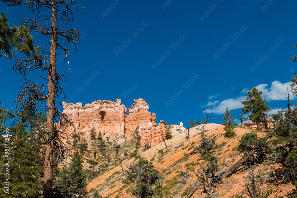 The Chinese Wall on The Fairyland Loop Trail, Bryce Canyon National Park,Utah,USA