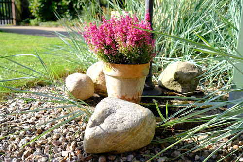 Heidekraut als Deko im Blumentopf