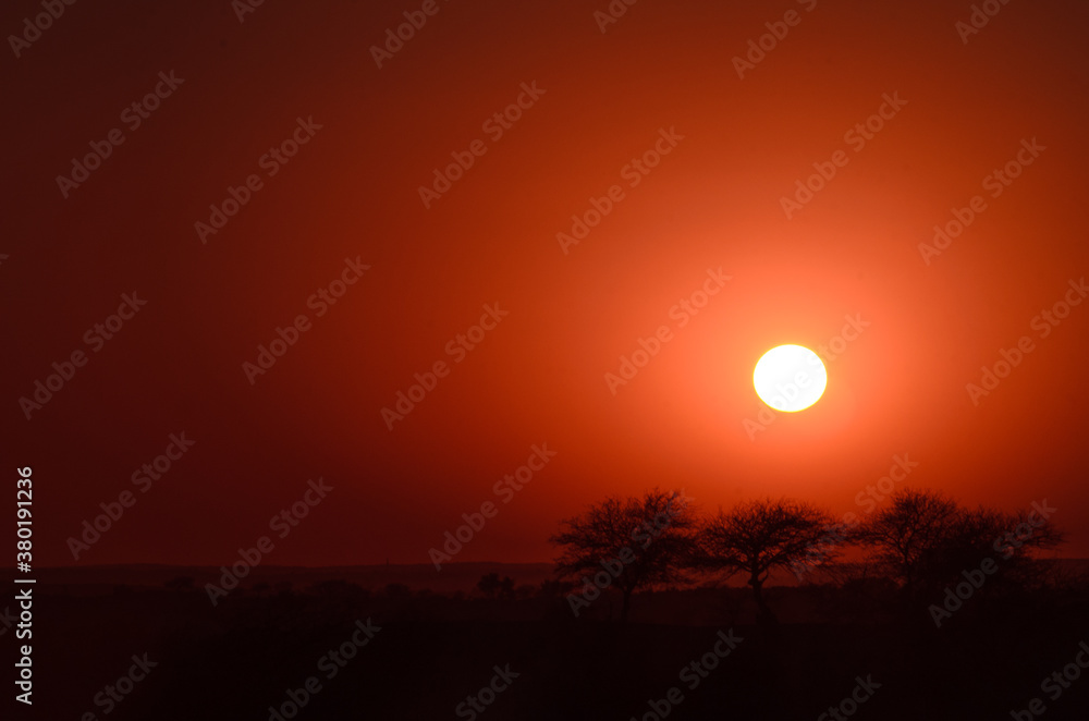 Sunset in the desert of Rajasthan. India Sunset in the desert of Rajasthan. India