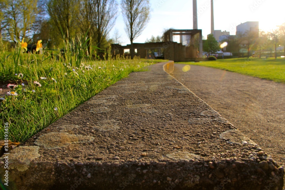 Fototapeta premium the road in the park