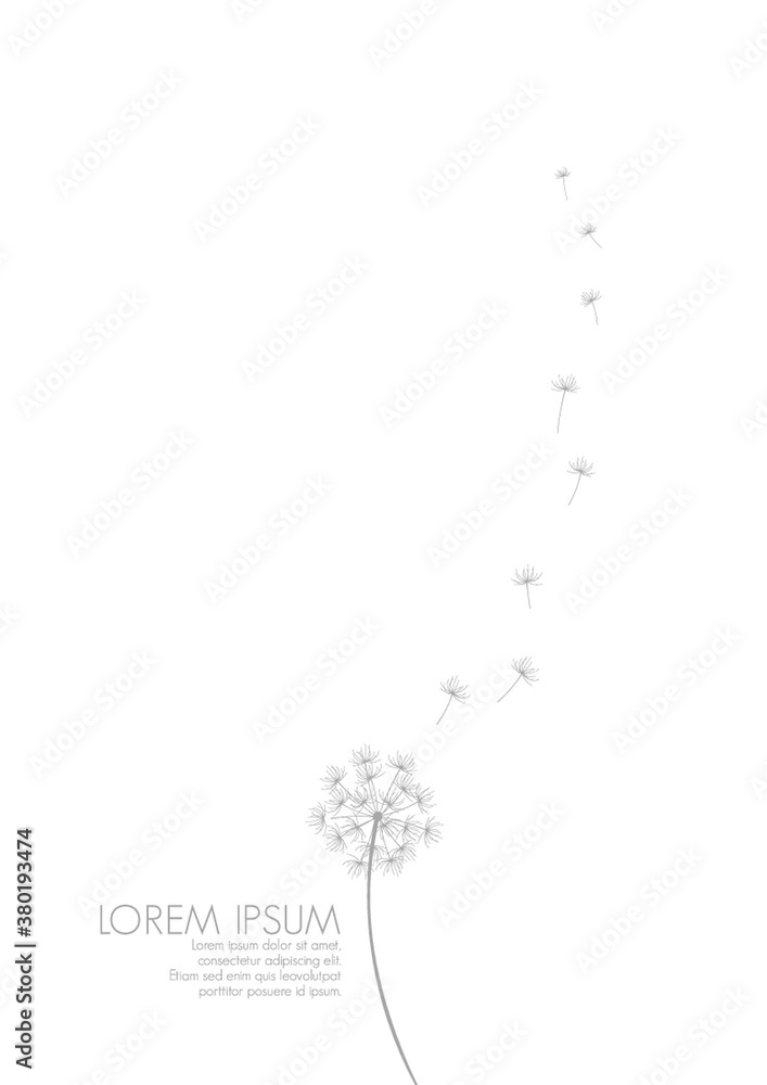 Simple background with flying dandelion florets