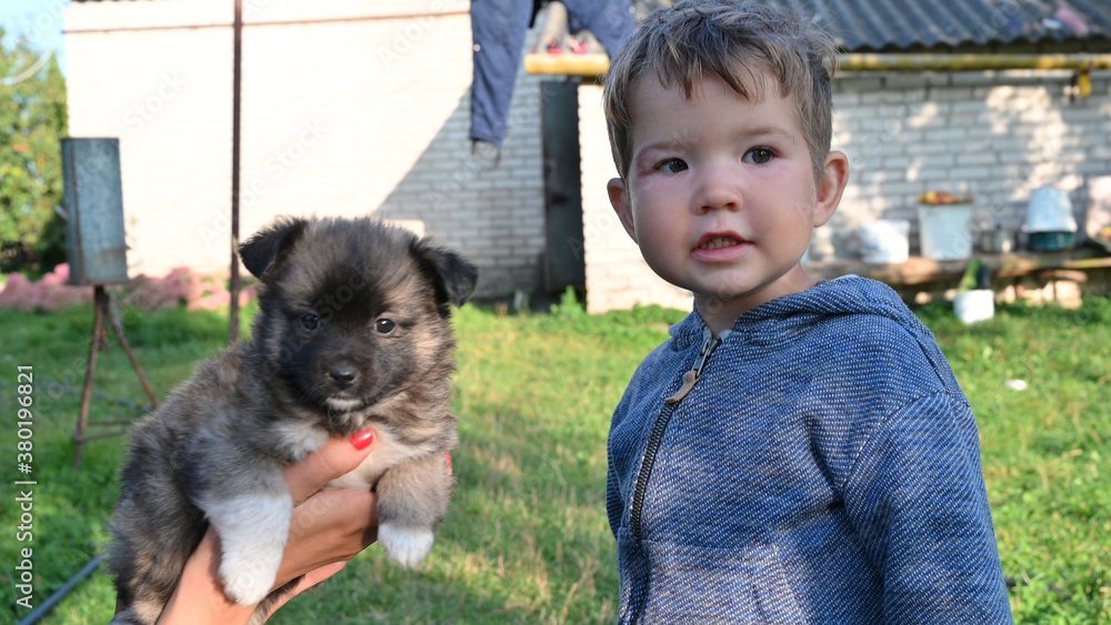 portrait of a child and a puppy in her arms portrait of a child and a puppy in her arms
