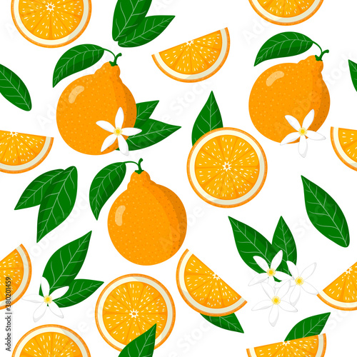 Vector cartoon seamless pattern with Citrus tangelo or honeybells exotic fruits, flowers and leafs on white background