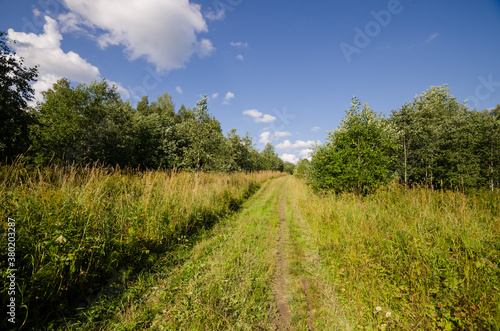 The path through the field. Thick grass