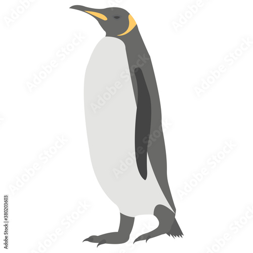 Penguin 