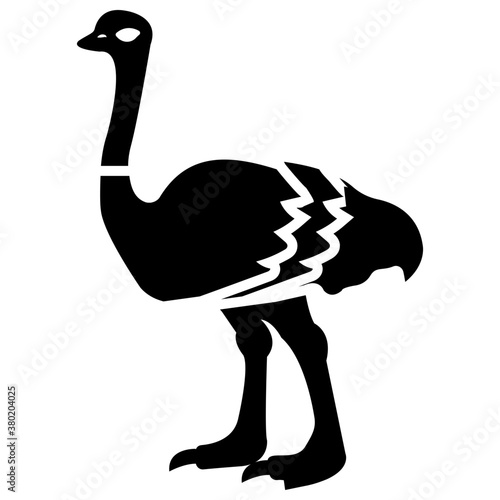Ostrich 