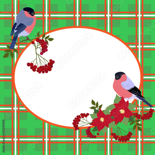 Vector illustration of a Christmas card with rowan branches, poinsettia flowers, bullfinches